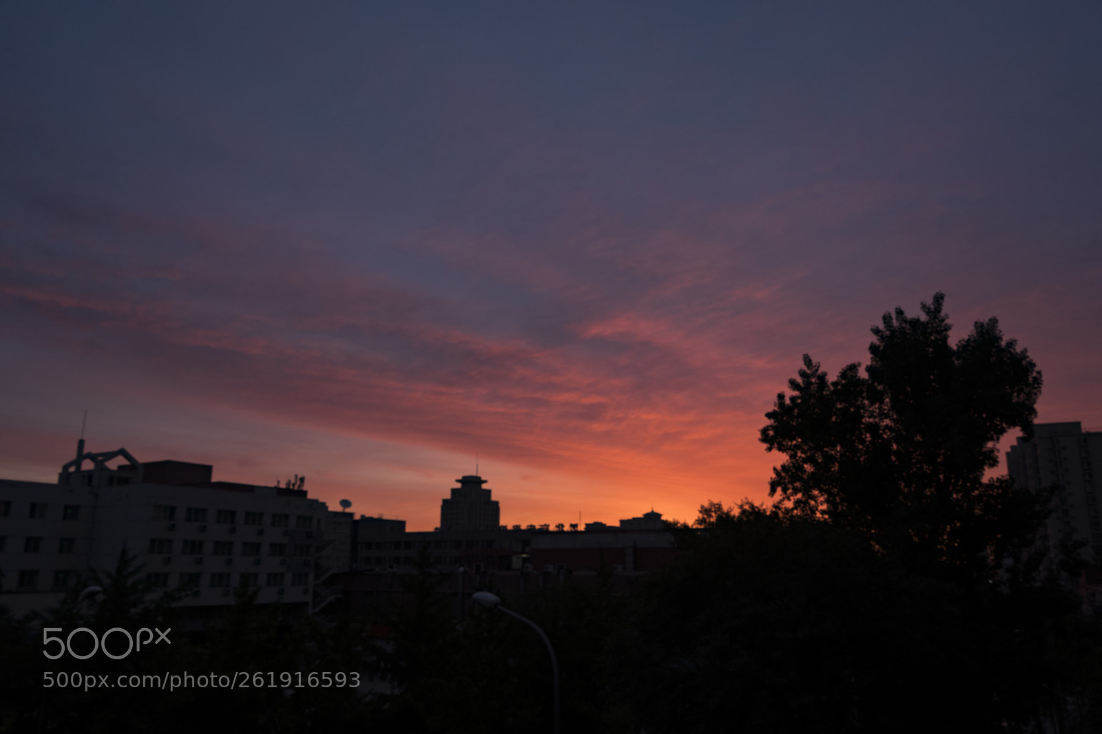 Sony a7R II sample photo. Silhouette photography