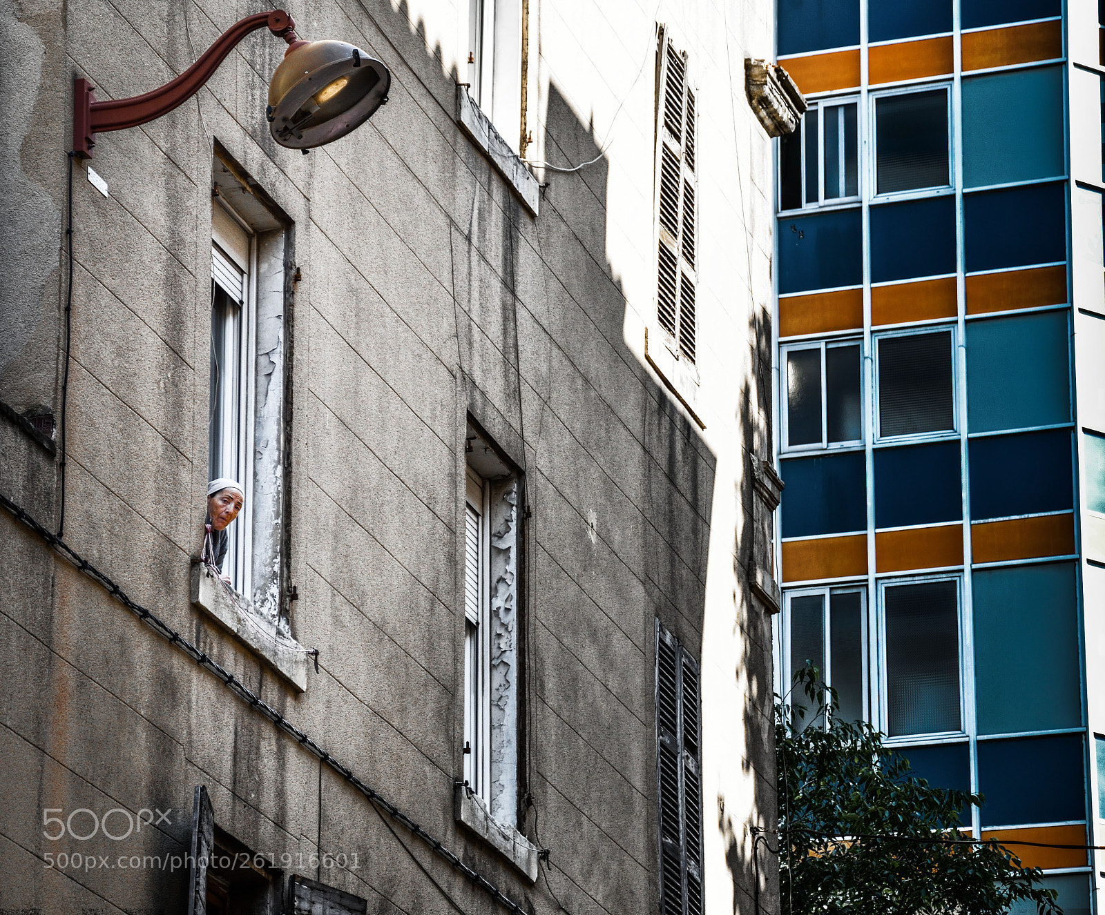 Nikon D5600 sample photo. Wassup photography