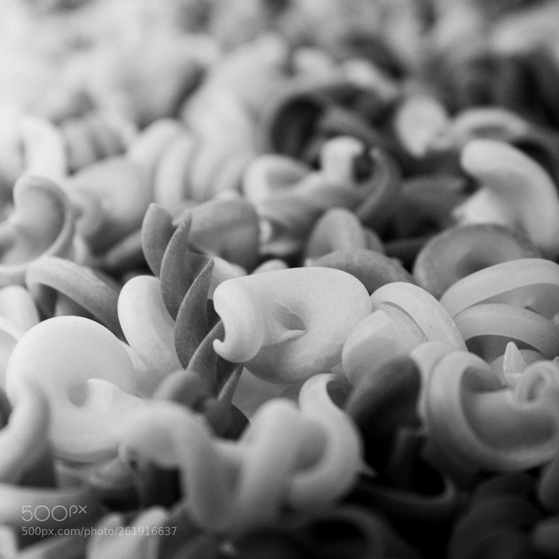 Canon EOS 5DS sample photo. Flying pasta photography