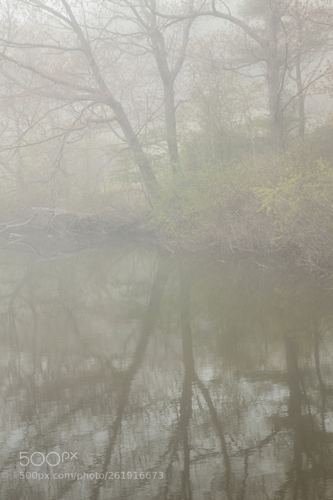 Canon EOS 5D Mark II sample photo. Foggy reflections photography