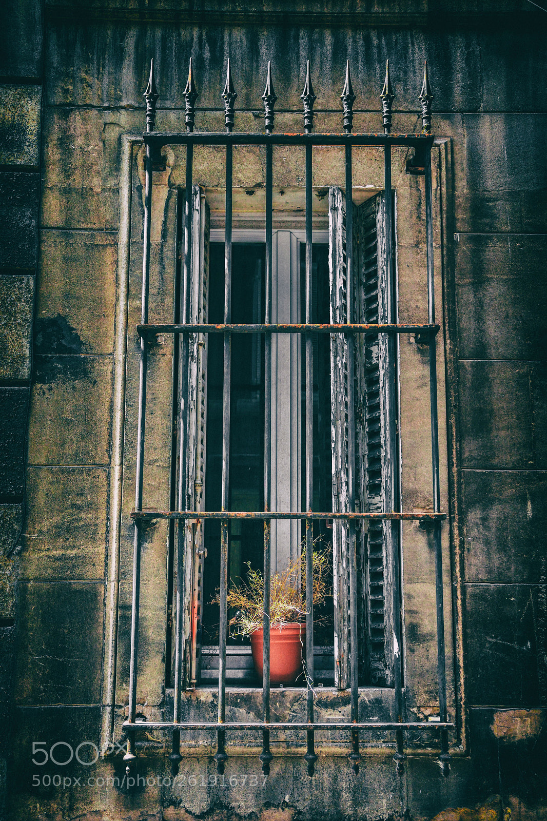 Nikon D5600 sample photo. Nature morte photography
