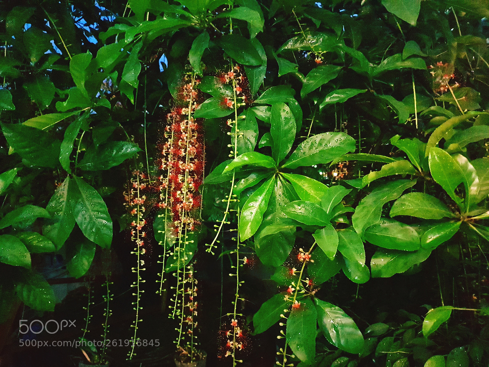 Samsung Galaxy S9+ sample photo. Untitled photography