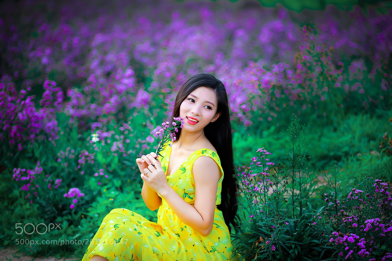 Canon EOS 6D Mark II sample photo. Wild flower photography