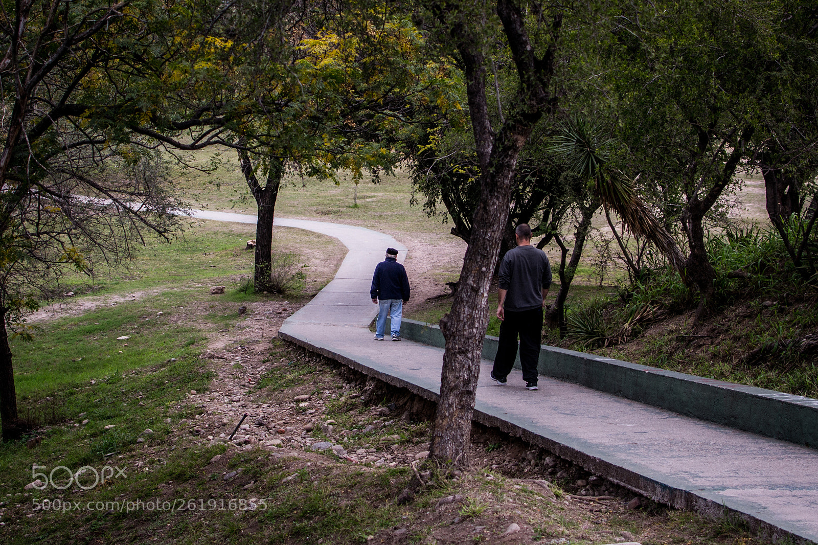 Nikon D3100 sample photo. Path photography