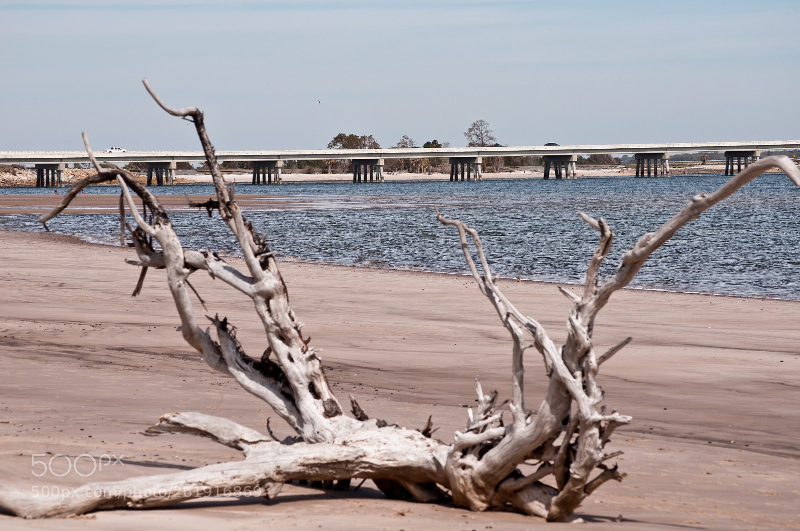 Nikon D300 sample photo. View from the bone photography