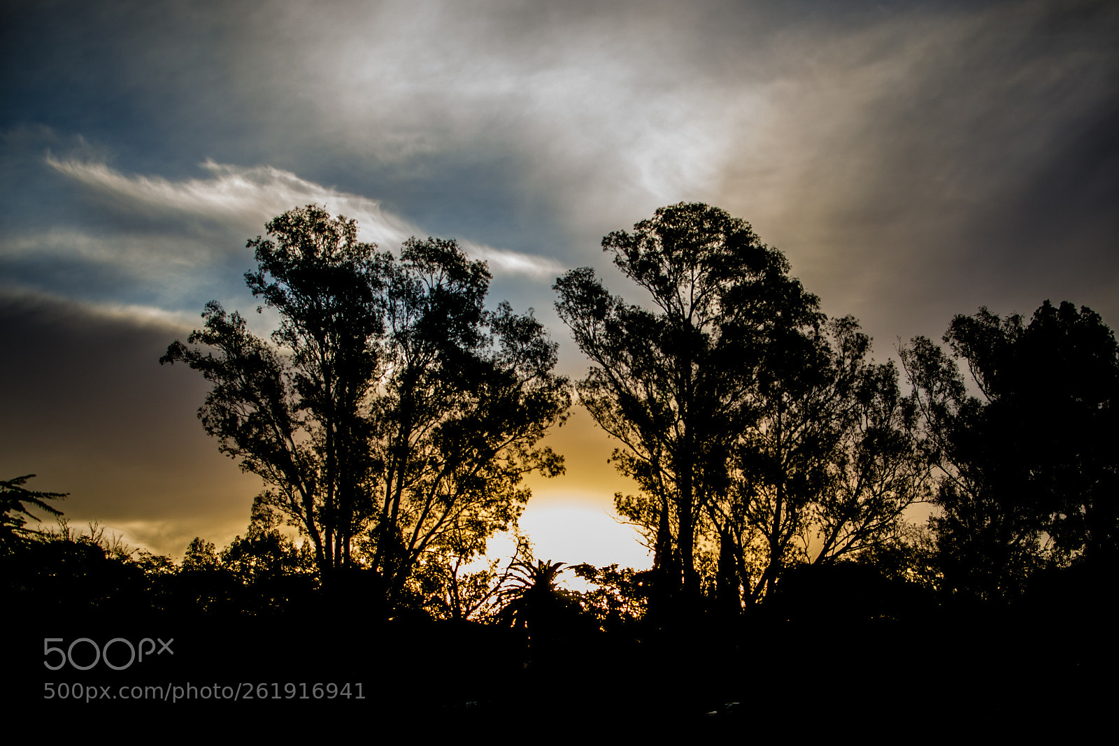 Nikon D3100 sample photo. Sunset photography