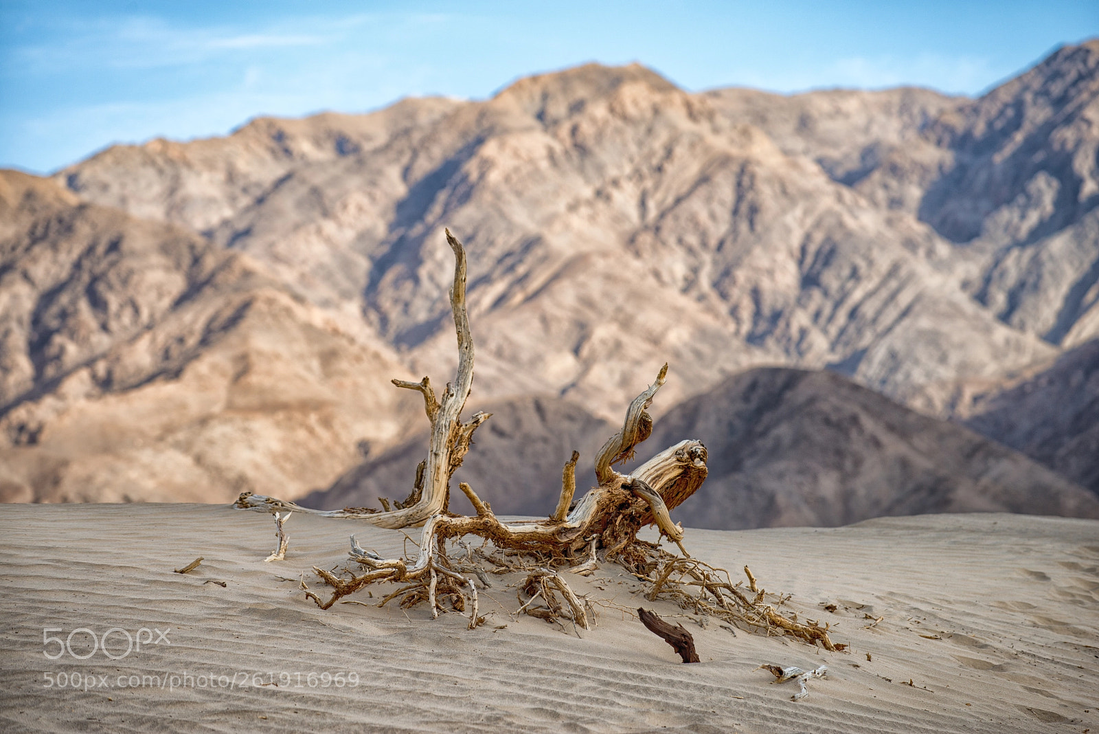 Nikon D800 sample photo. Death valley 1 photography