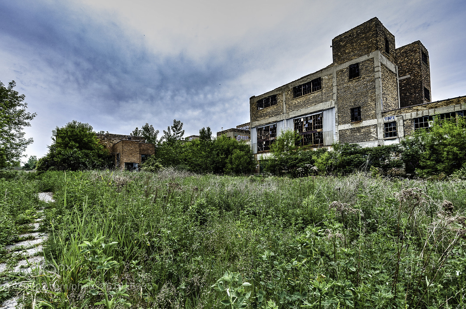 Nikon D5000 sample photo. Peter cooper glue factory #1 photography
