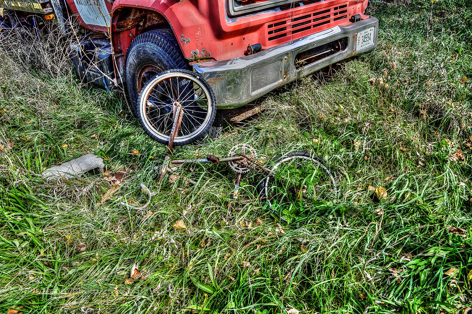 Nikon D5000 sample photo. Forgotten childhood photography