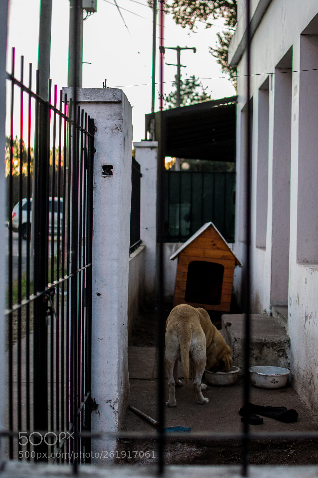 Nikon D3100 sample photo. Inmate photography