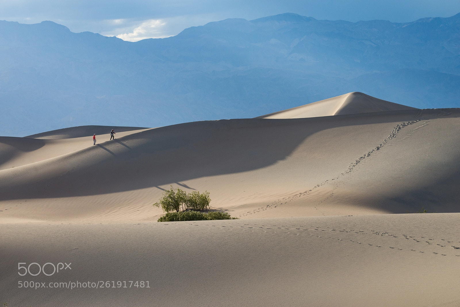 Nikon D800 sample photo. Death valley 2 photography