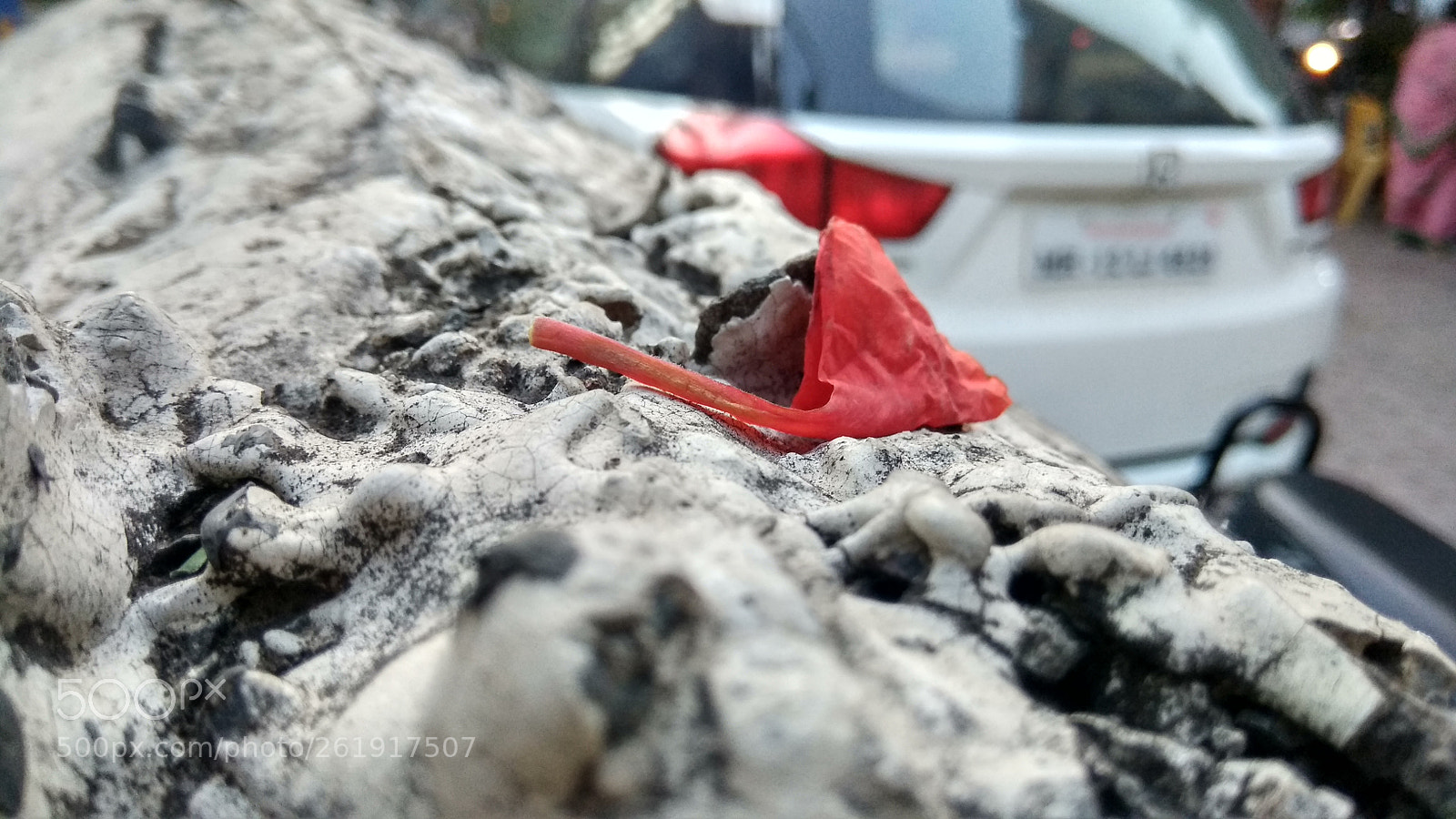 Xiaomi Redmi Note 4 sample photo. The one red photography