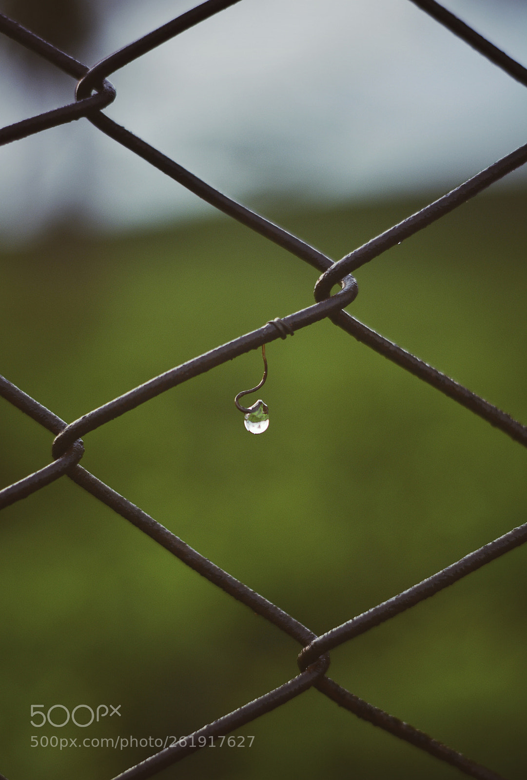 Nikon D7100 sample photo. Untitled photography