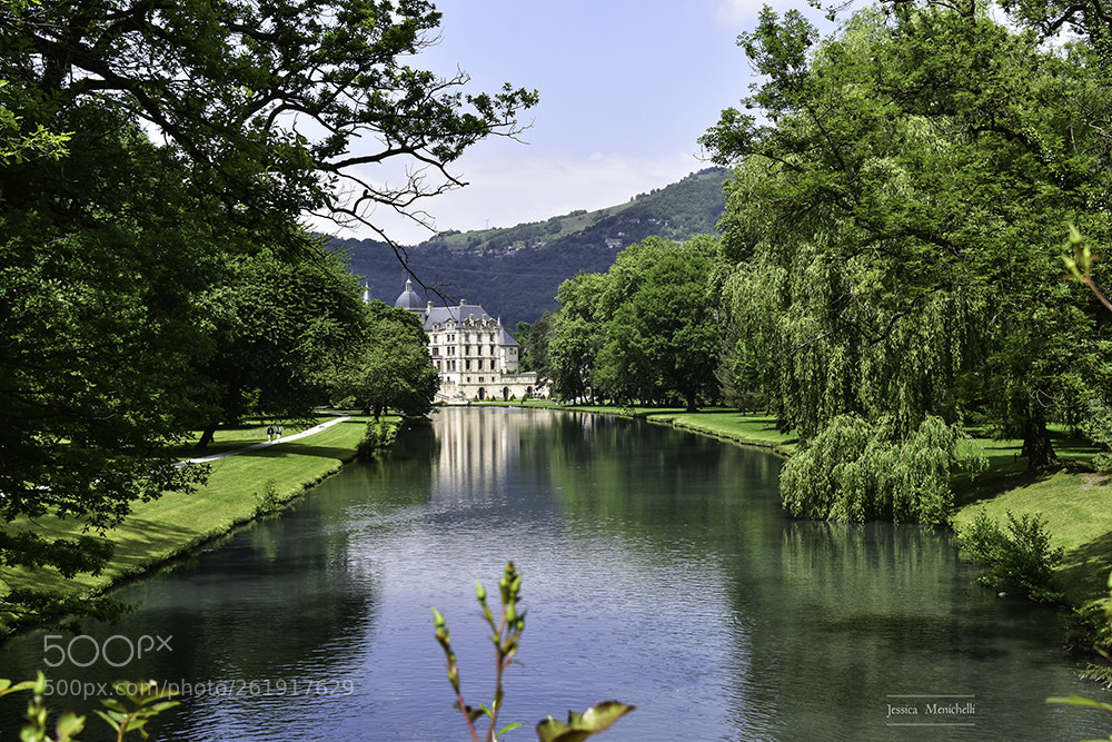 Nikon D5500 sample photo. Château de vizille photography