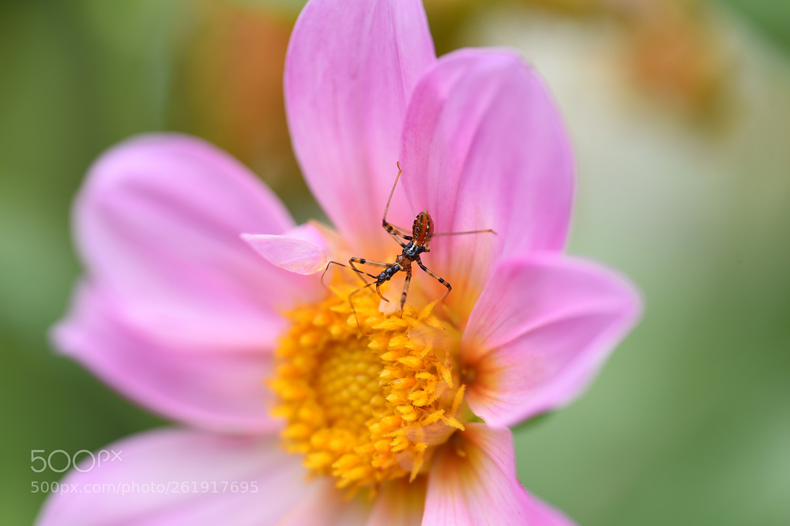 Nikon D750 sample photo. I am on the photography