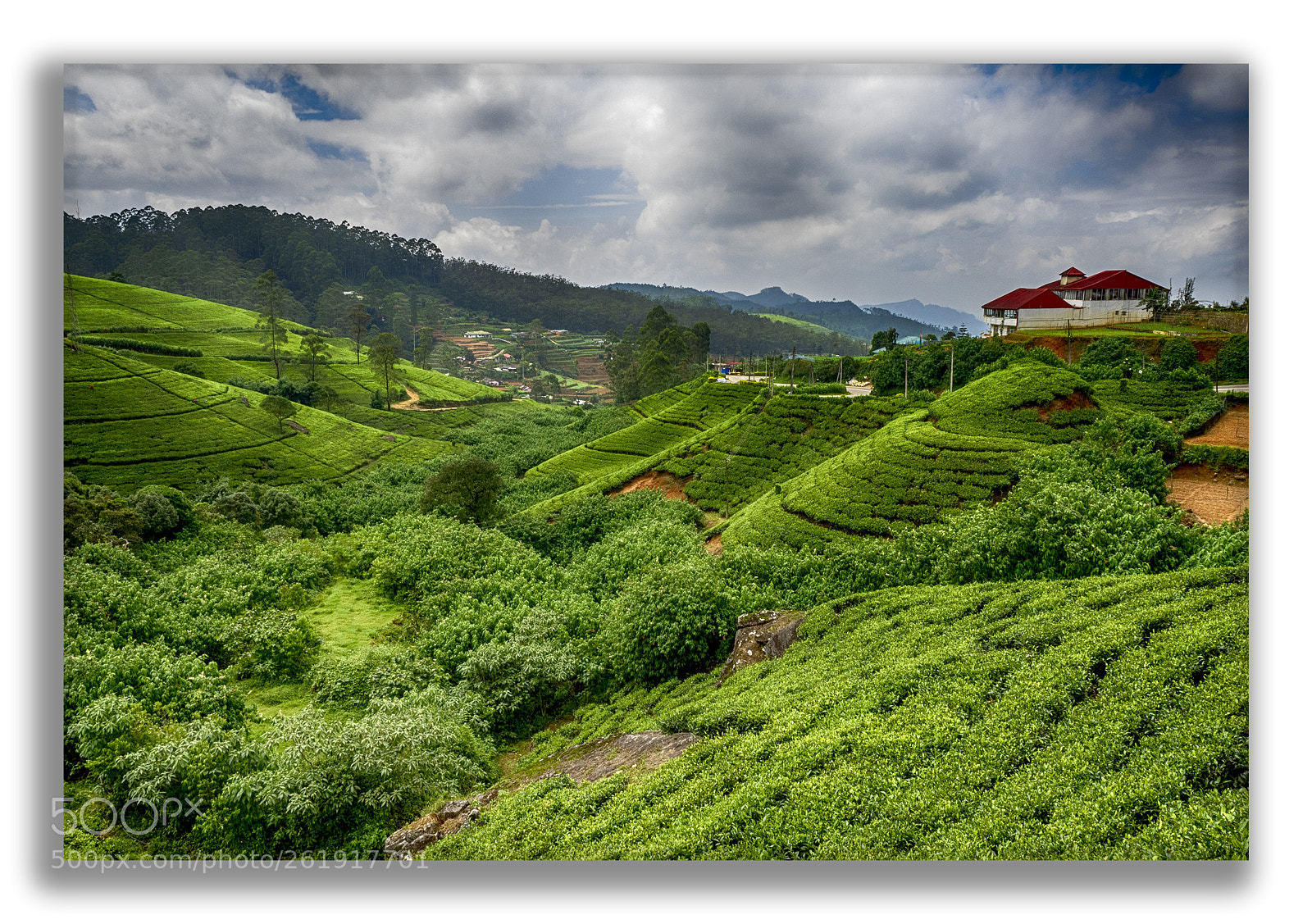 Olympus OM-D E-M1 sample photo. Sri lanka nuwara eliya photography