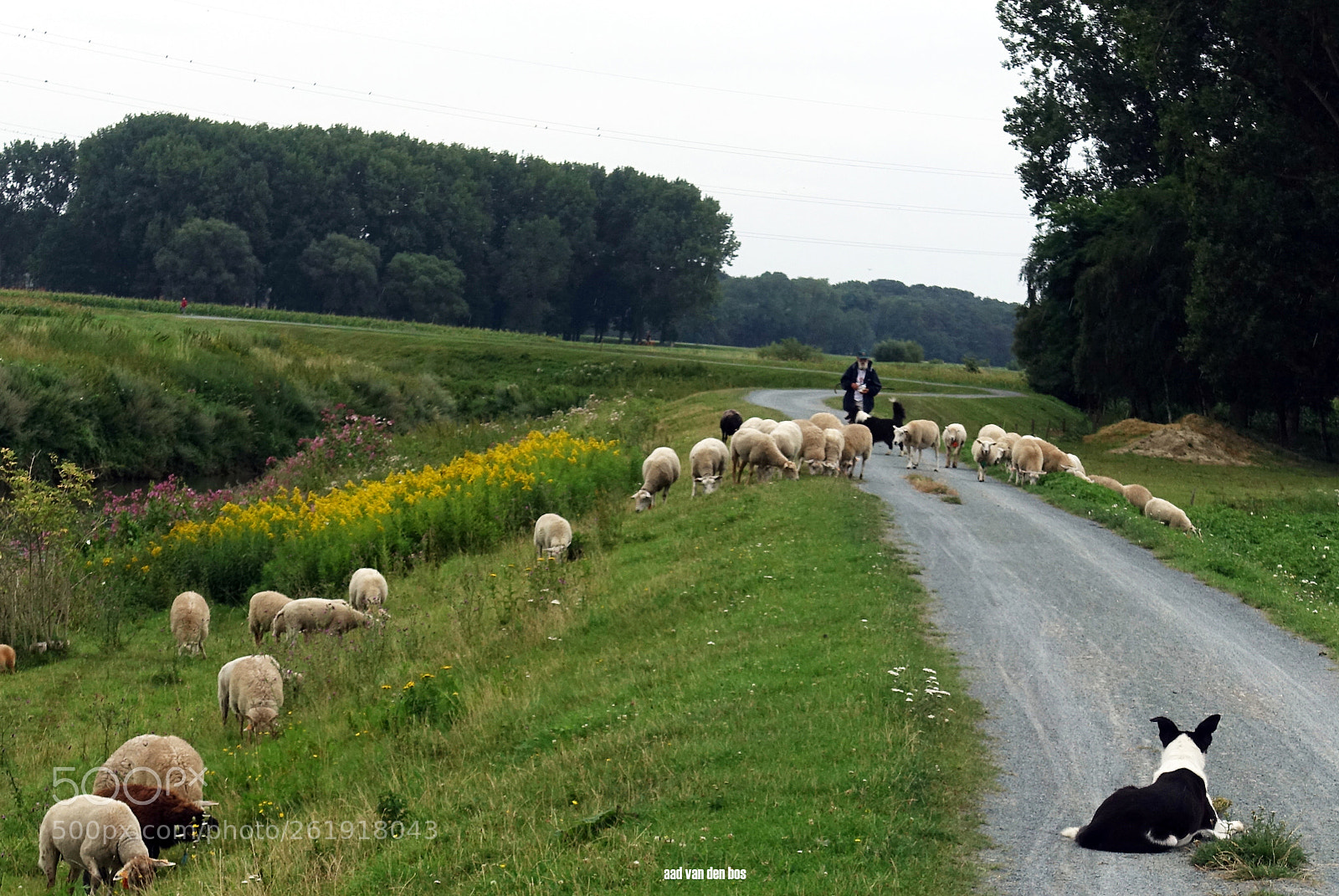 Sony Cyber-shot DSC-RX100 III sample photo. Road-block photography