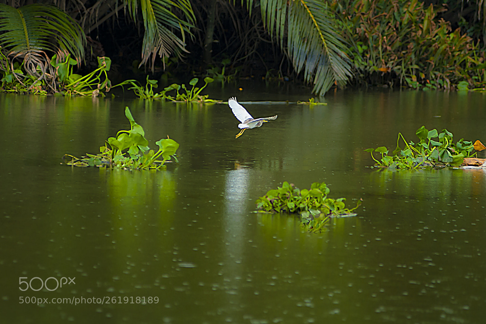 Nikon D700 sample photo. Nature photography
