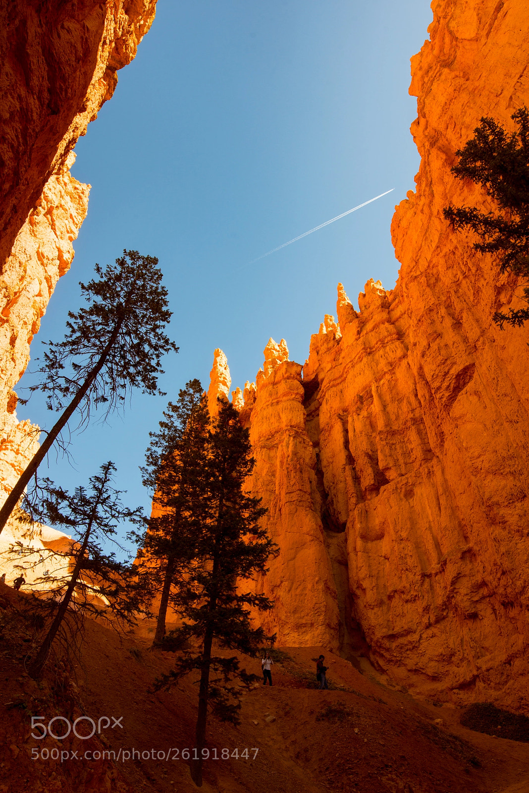 Nikon D800 sample photo. To the sky photography
