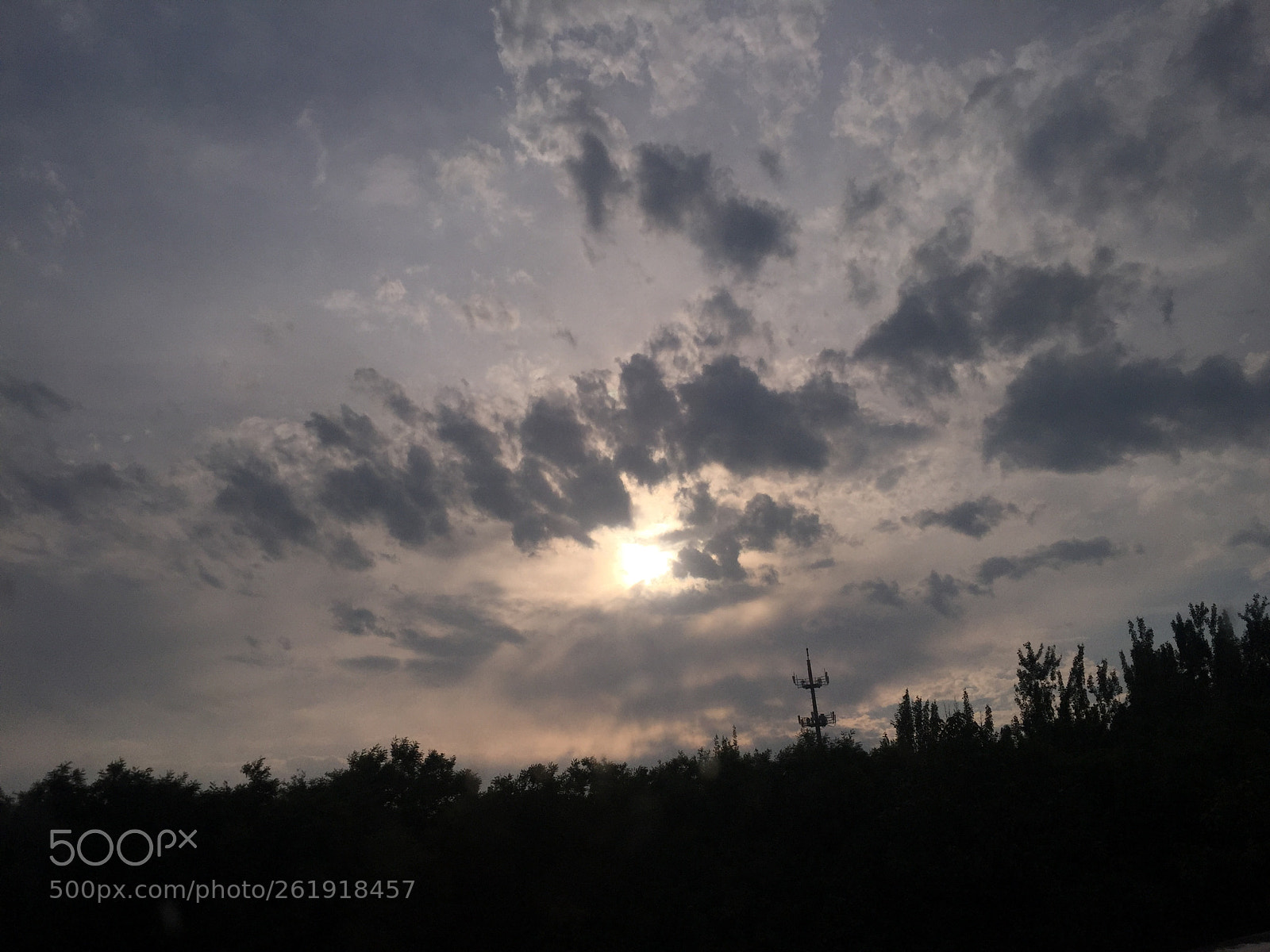 Apple iPhone 6 sample photo. Untitled photography