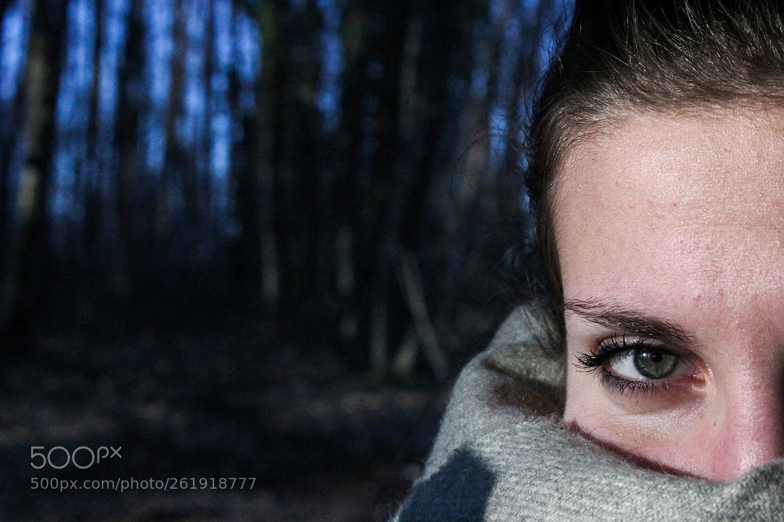 Canon EOS 60D sample photo. Untitled photography