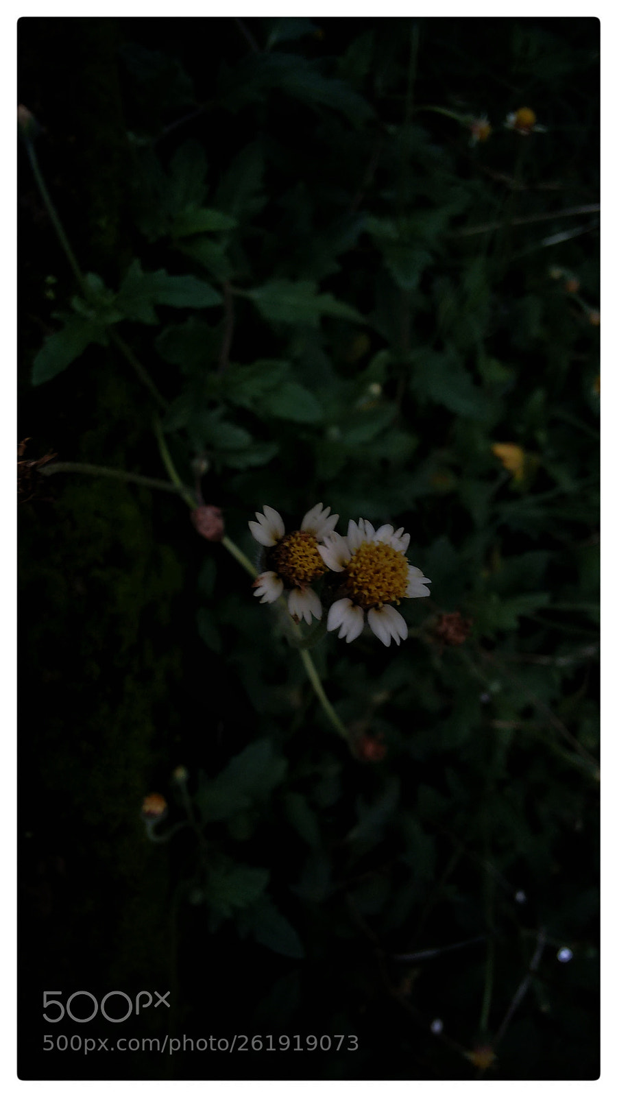Motorola Moto G (2nd Gen) sample photo. Evening photography