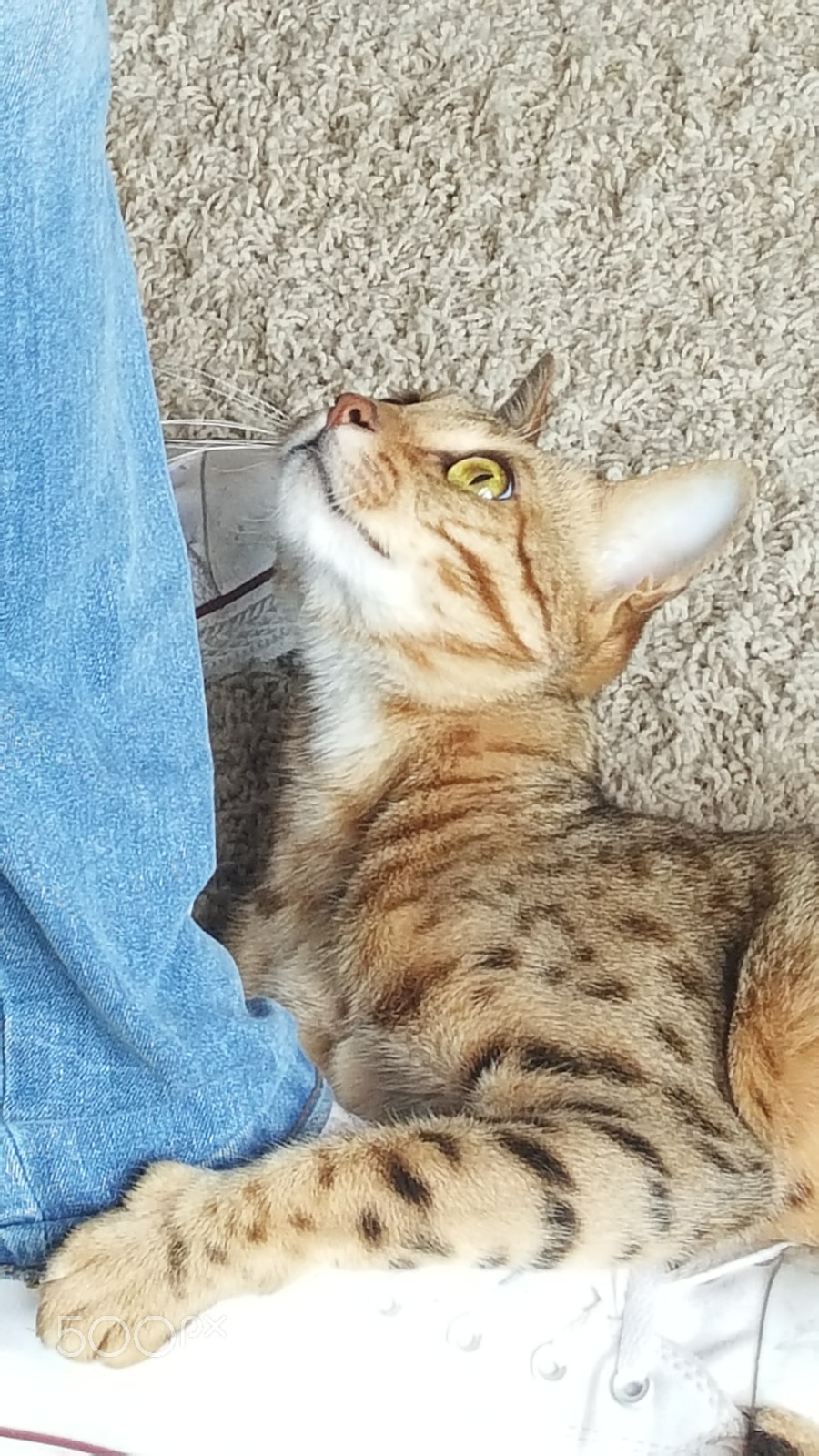 Samsung Galaxy Note5 sample photo. Untitled photography