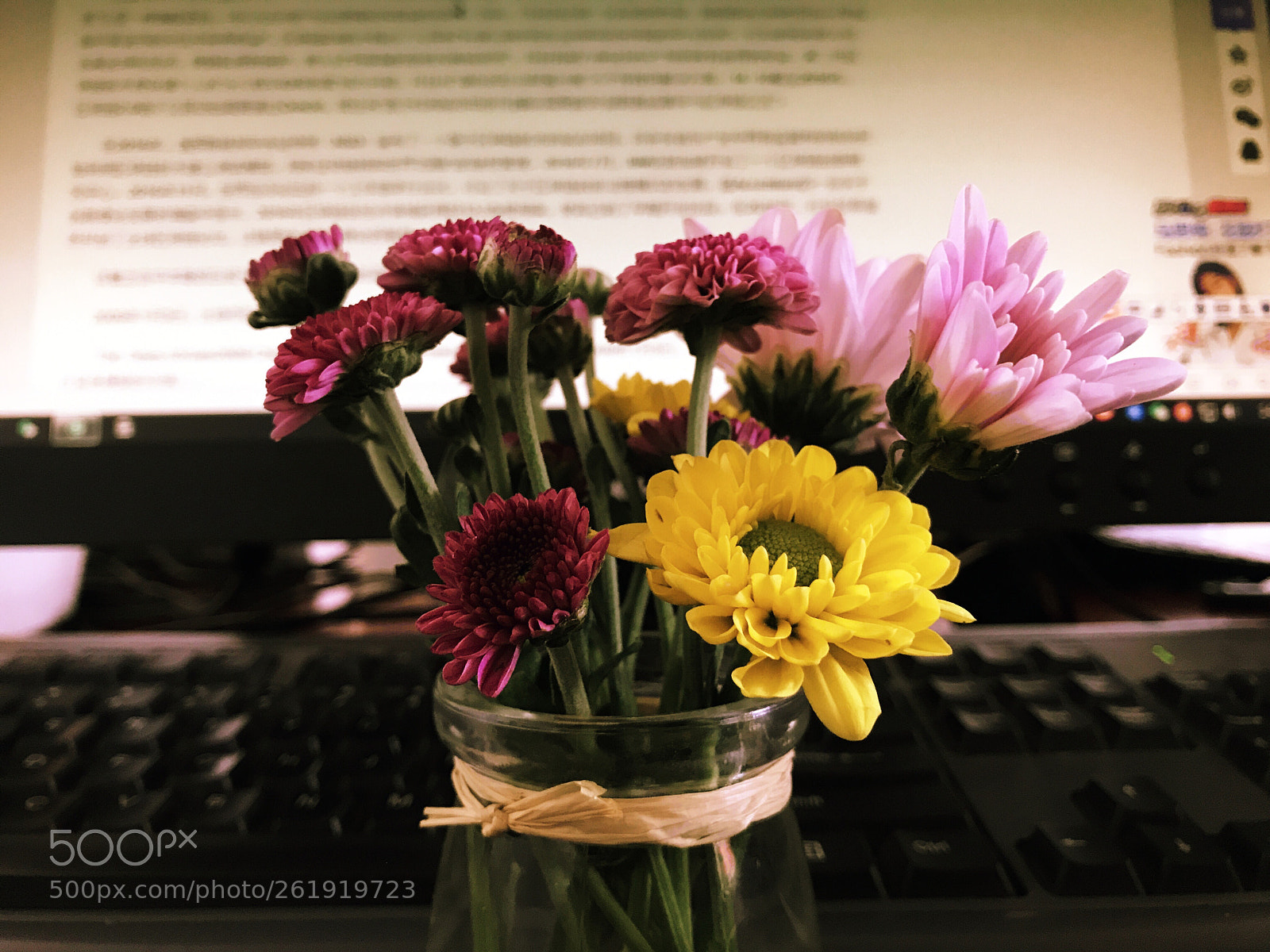 Apple iPhone 7 sample photo. Flower photography