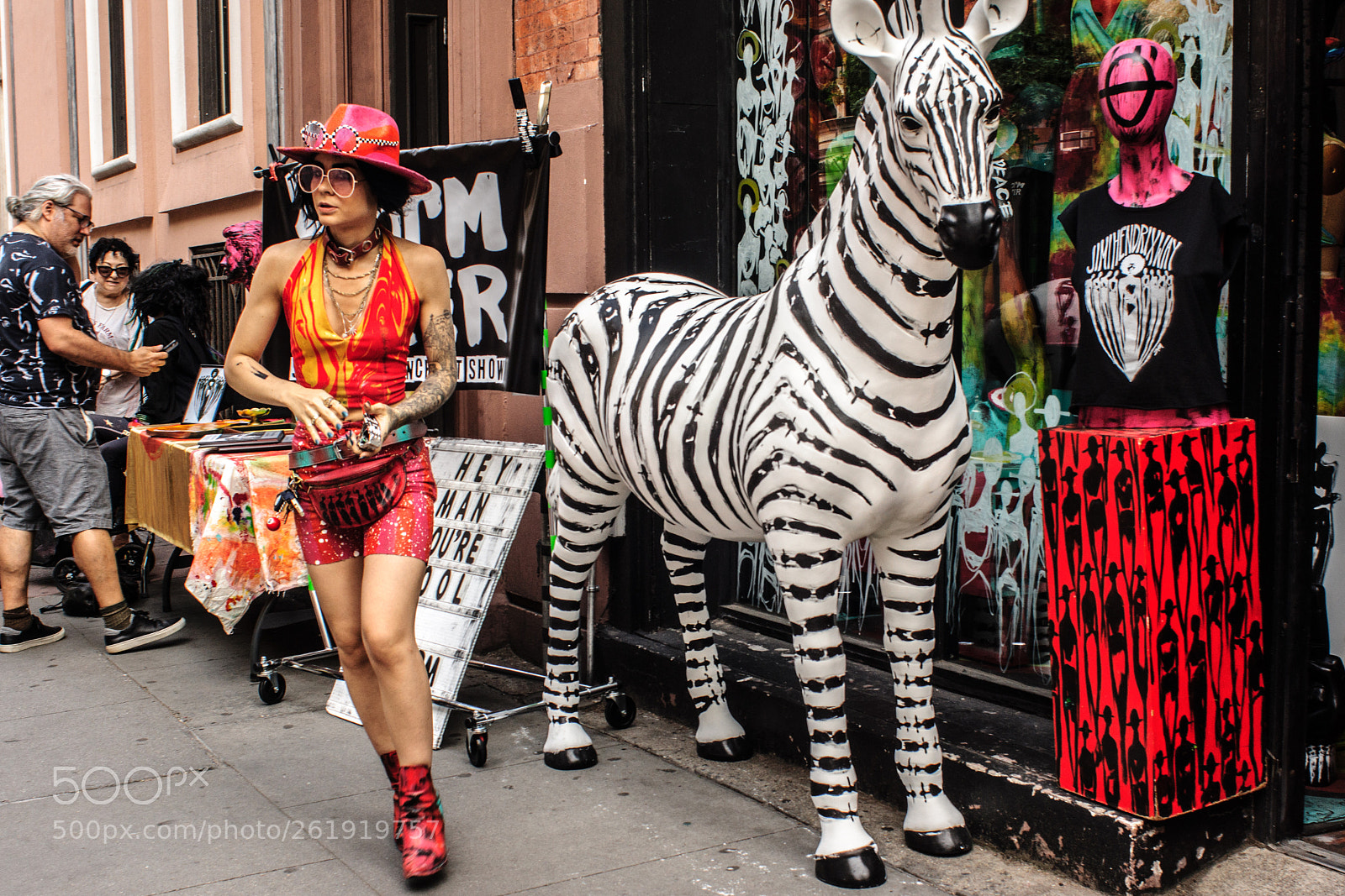 Sony SLT-A65 (SLT-A65V) sample photo. Zebra photography