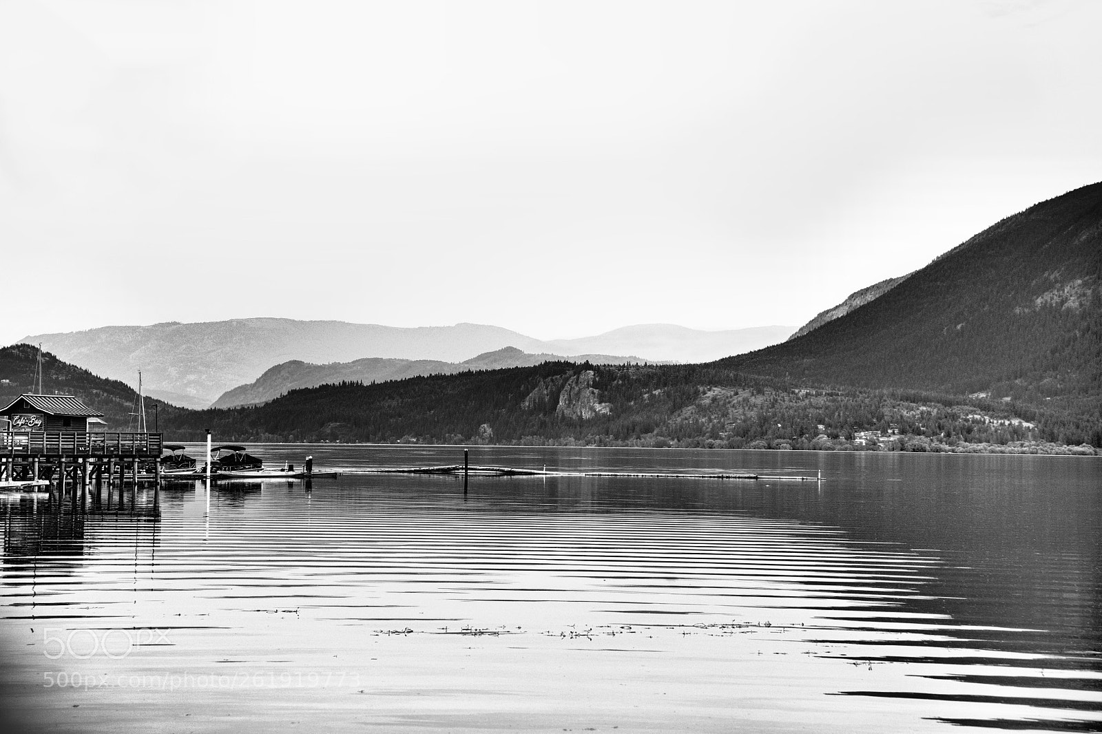 Nikon D850 sample photo. Shushwap lake photography