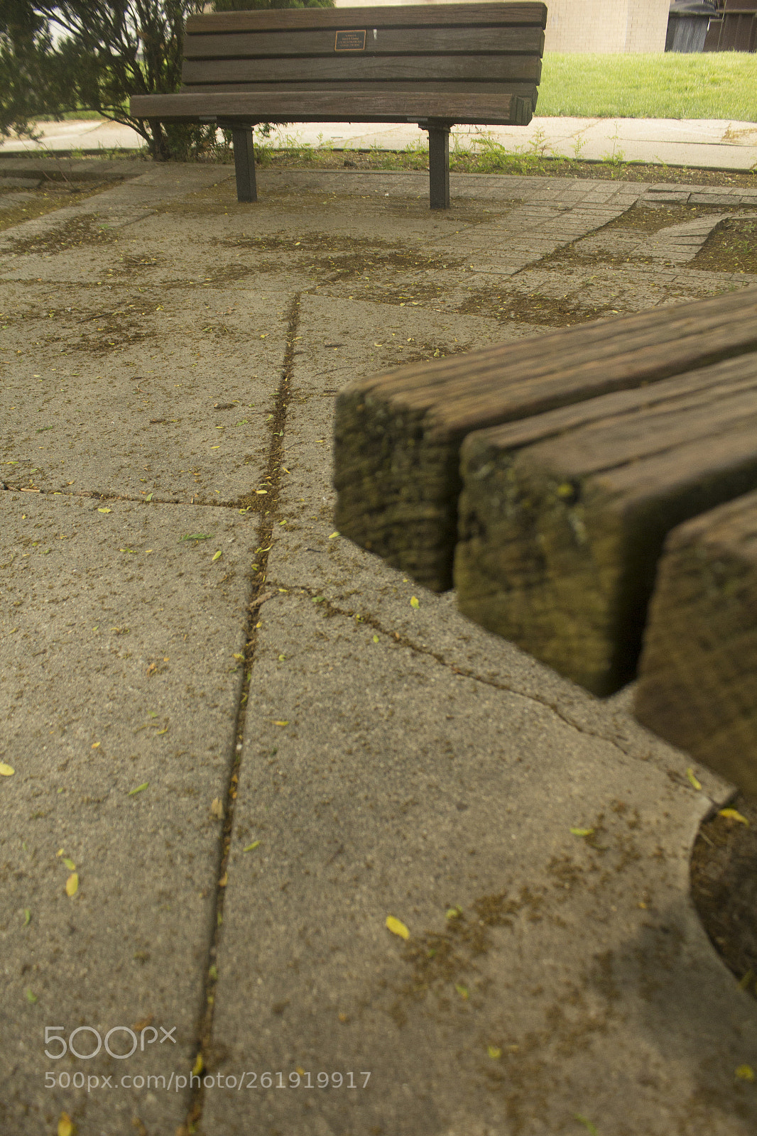 Canon EOS 1200D (EOS Rebel T5 / EOS Kiss X70 / EOS Hi) sample photo. Park benches. photography