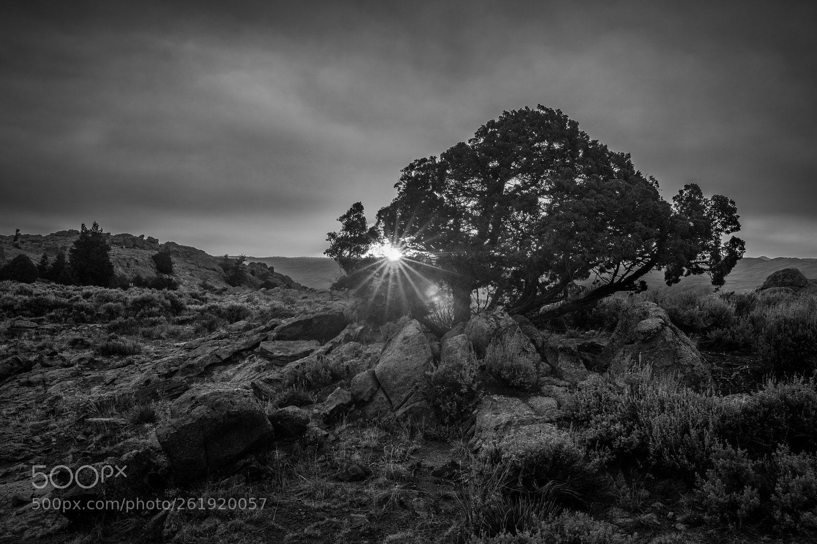Fujifilm X-T2 sample photo. Sunset blanco noir photography