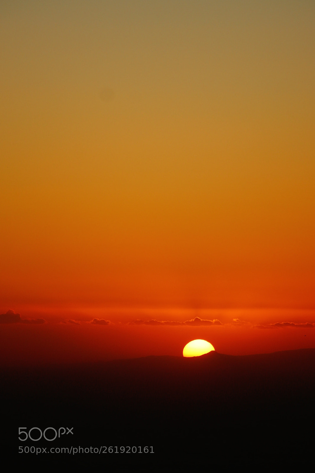 Canon EOS 70D sample photo. Life photography