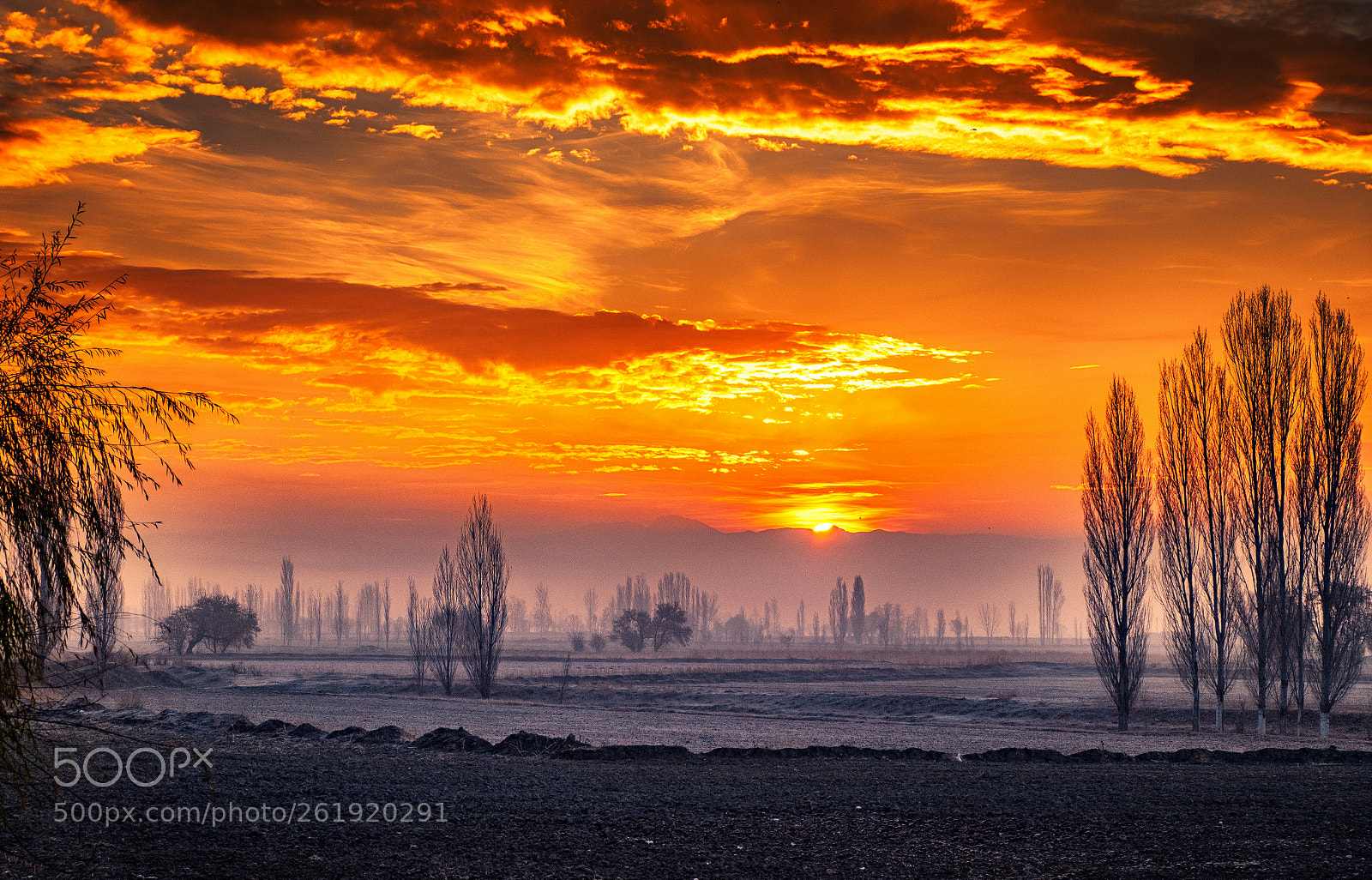 Fujifilm X-T10 sample photo. Magical sunrise photography