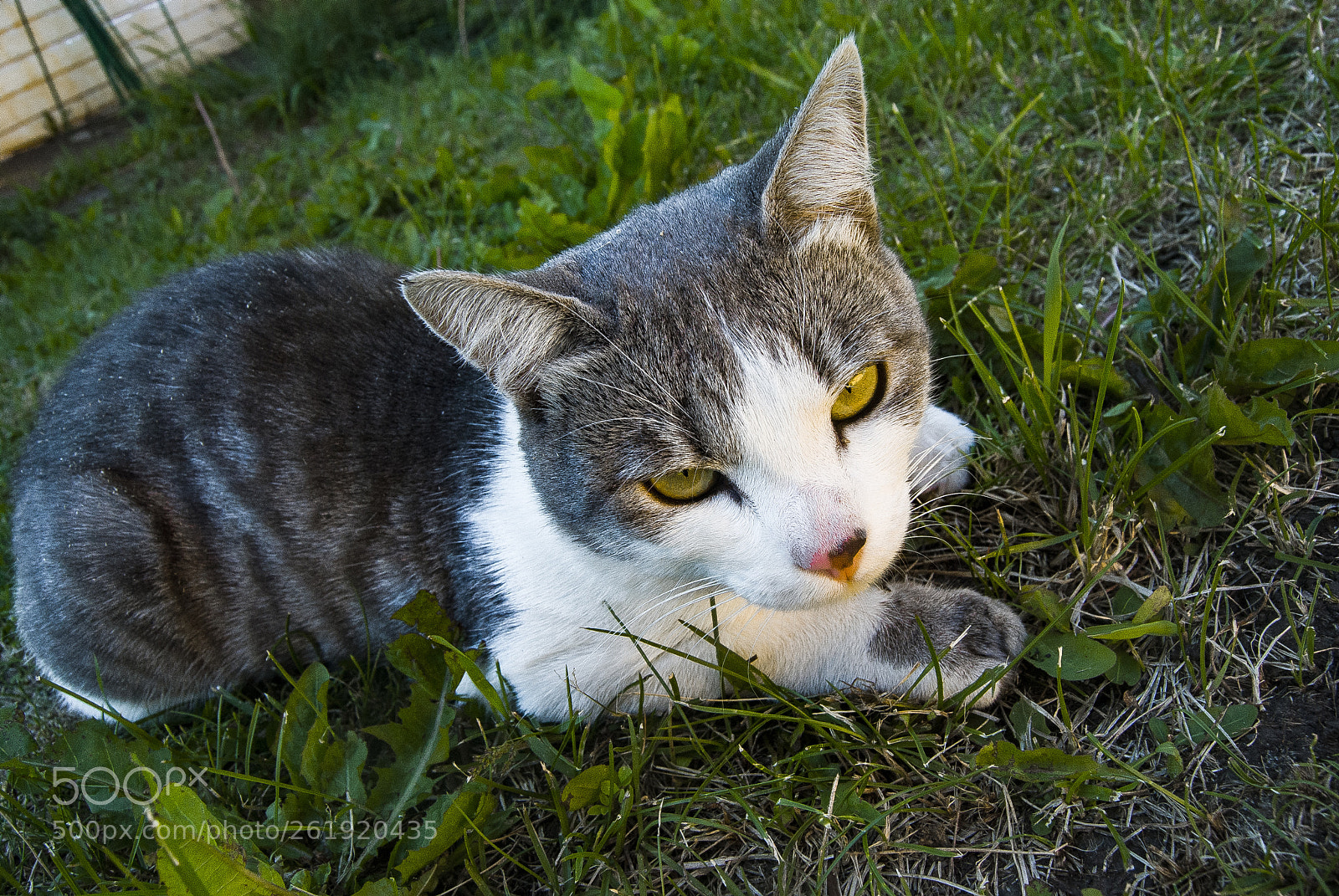 Nikon D3000 sample photo. Nothing to discuss photography
