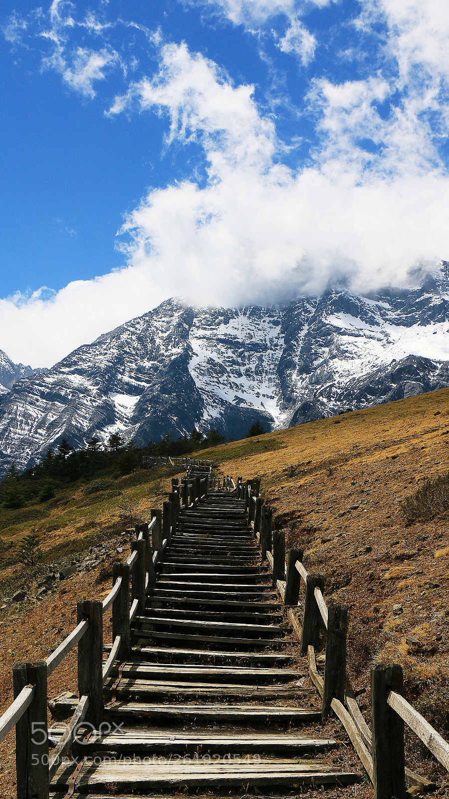 Canon EOS 70D sample photo. The road to heaven photography