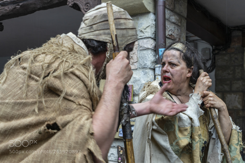 Sony a7 II sample photo. Mercado medieval photography
