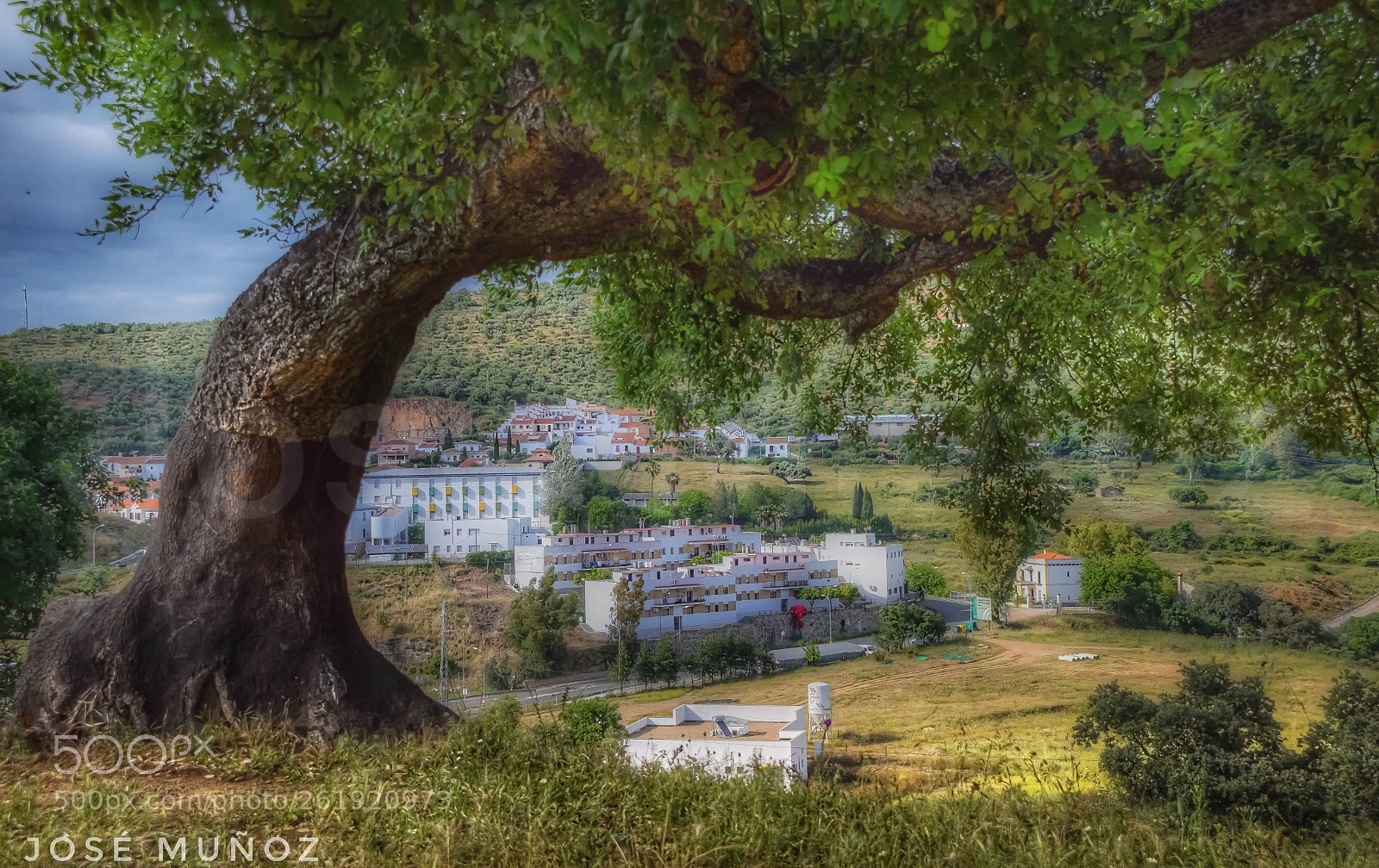Nikon D3300 sample photo. Constantina photography