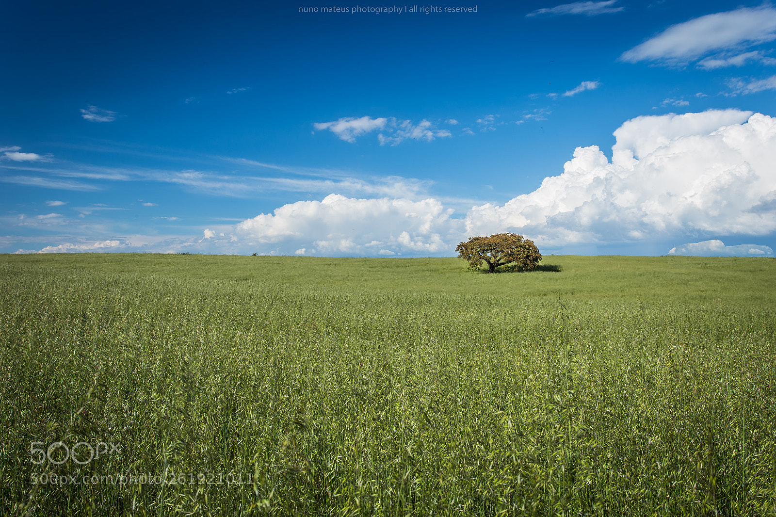 Canon EOS 6D sample photo. Terra nossa photography