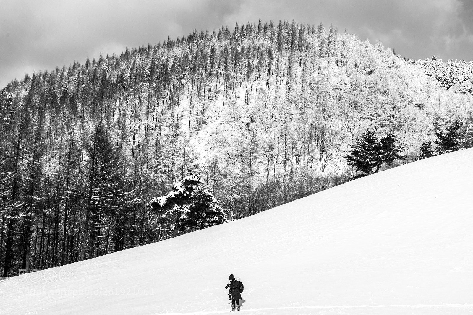 Sony a7 II sample photo. Untitled photography
