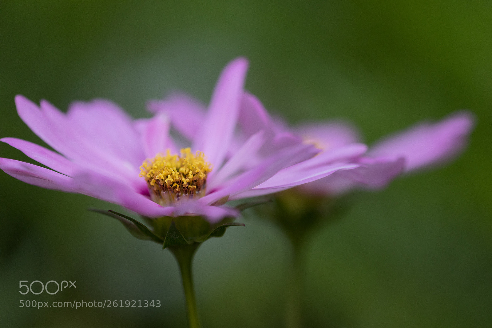 Canon EOS 5D Mark IV sample photo. Already gone photography