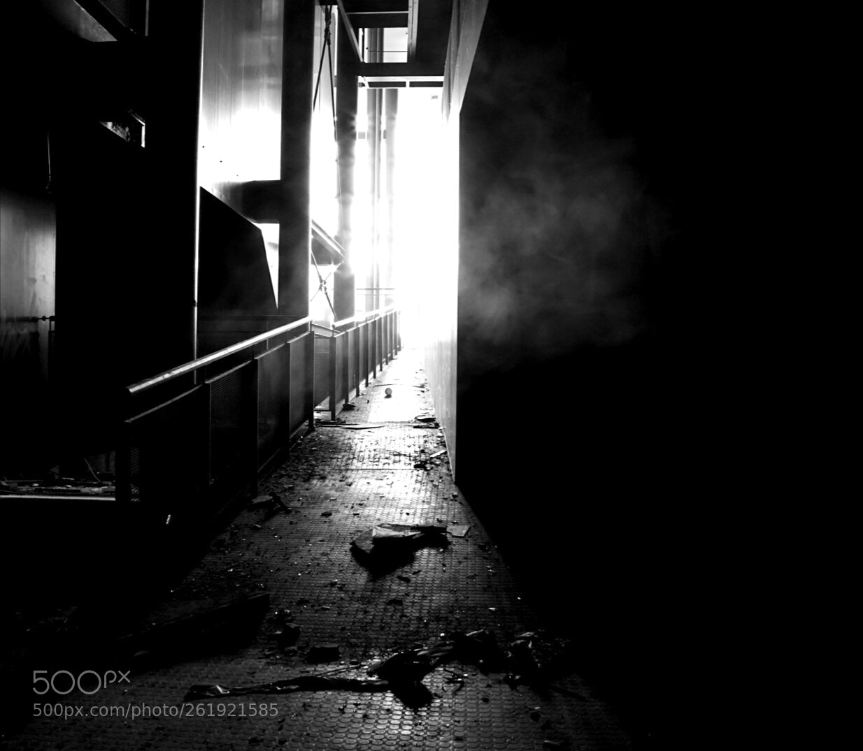 Sony a7R sample photo. Untitled photography