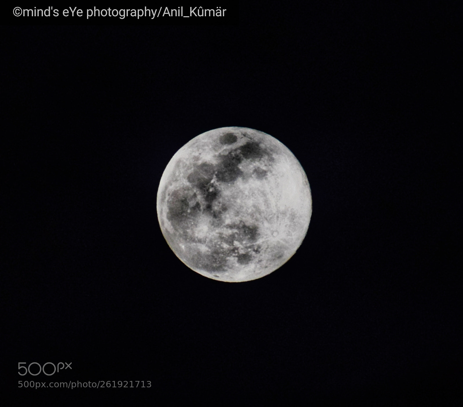 Nikon D3300 sample photo. Ruler of the dark photography