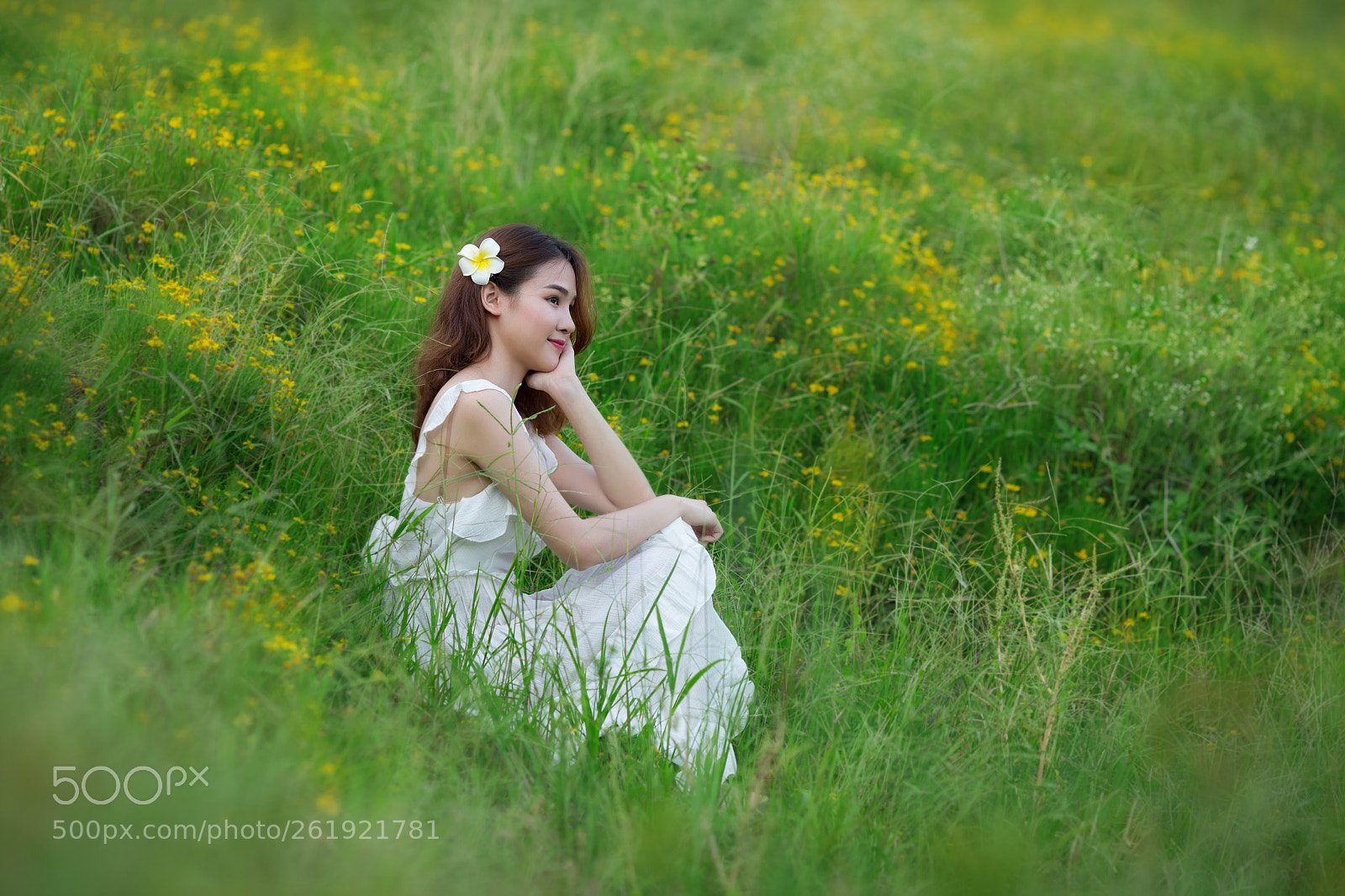 Canon EOS 6D sample photo. Phuong yen photography