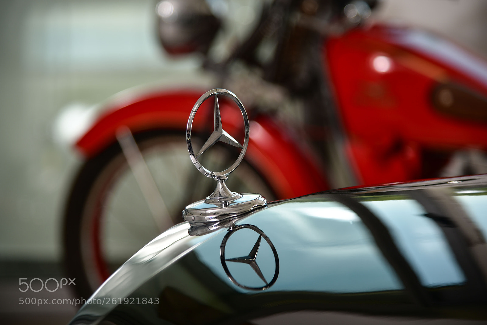 Nikon D750 sample photo. Img photography