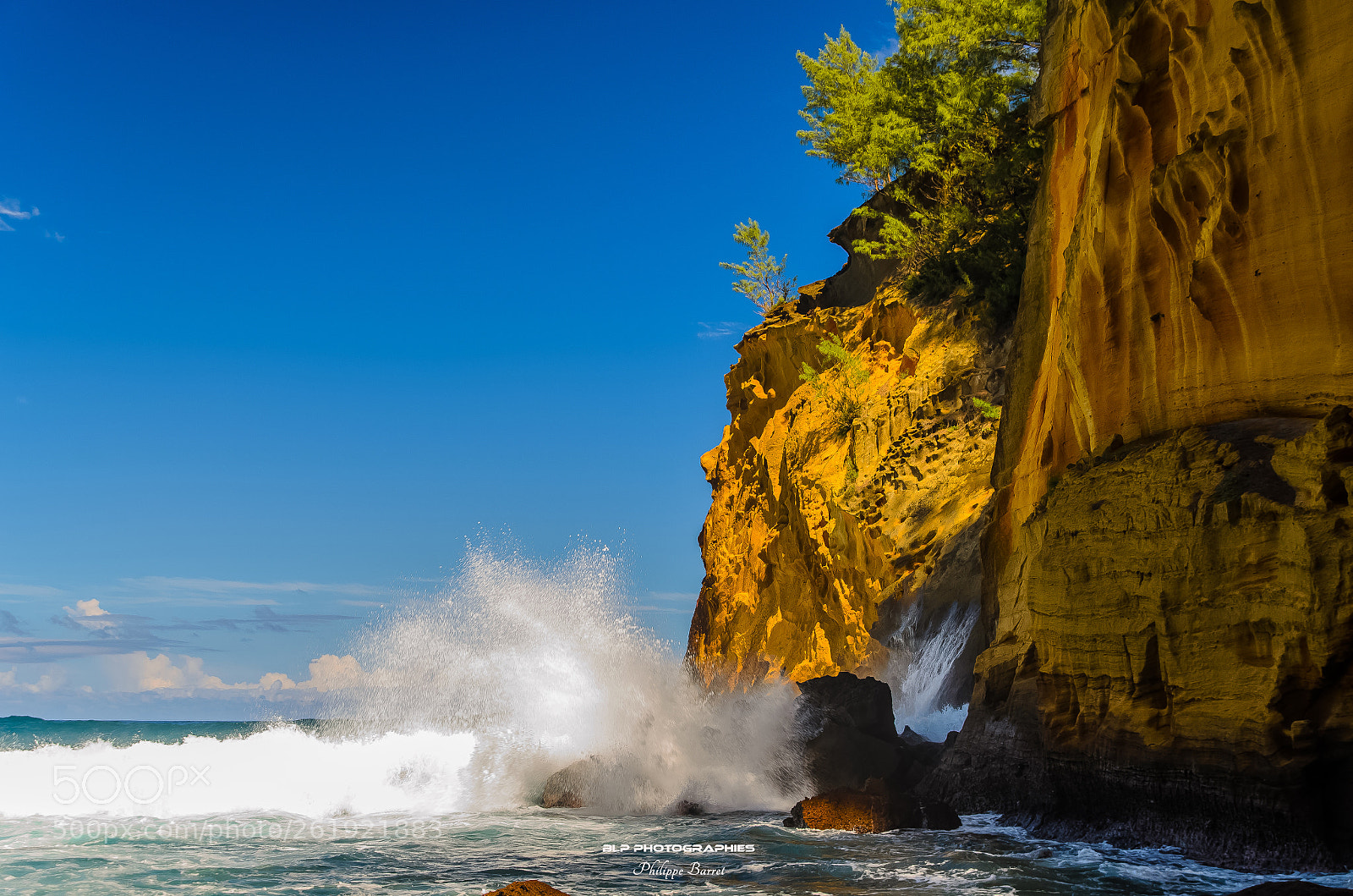 Nikon D7000 sample photo. Cap jaune photography