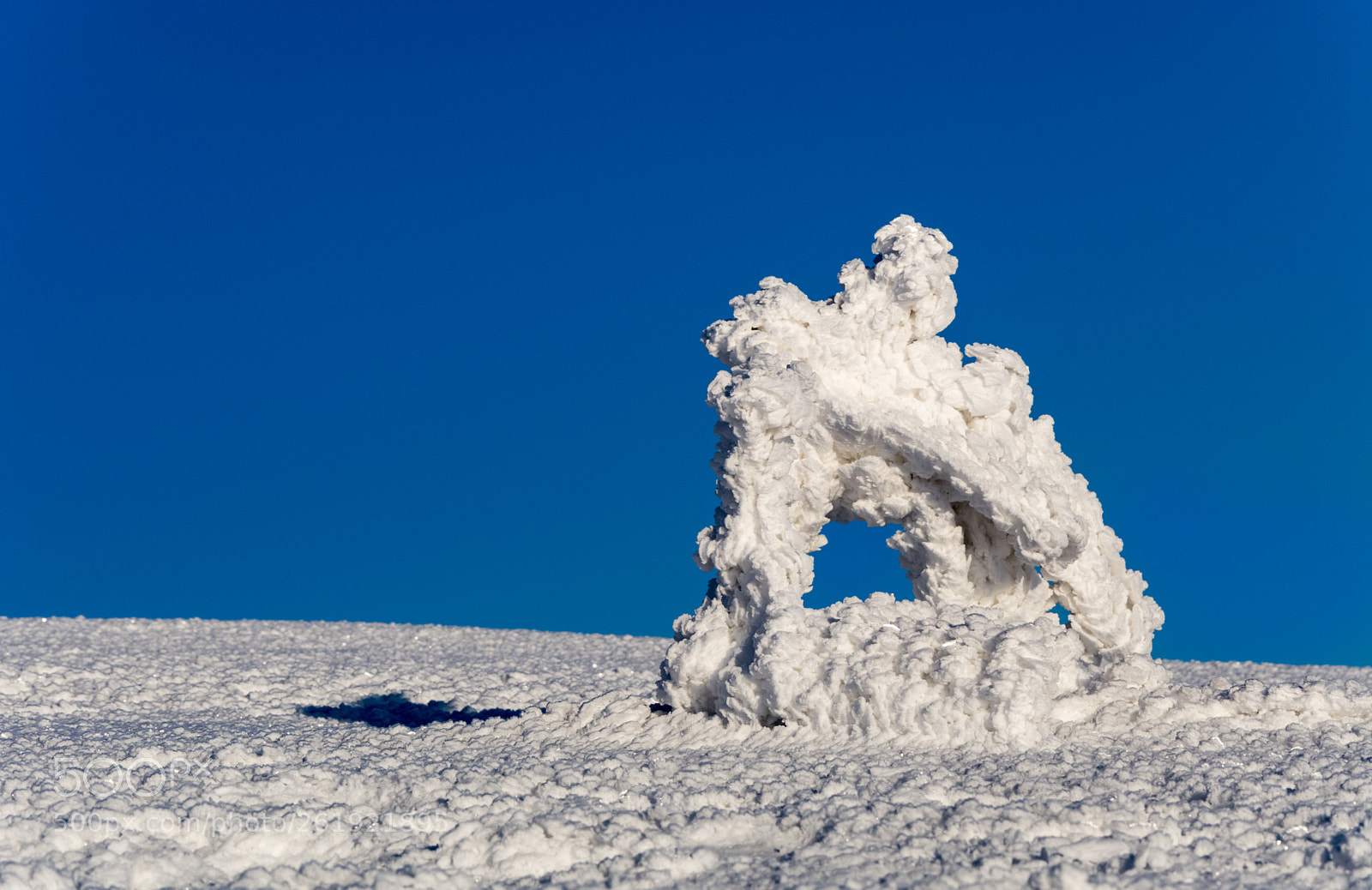 Nikon D7100 sample photo. Mountain pine photography