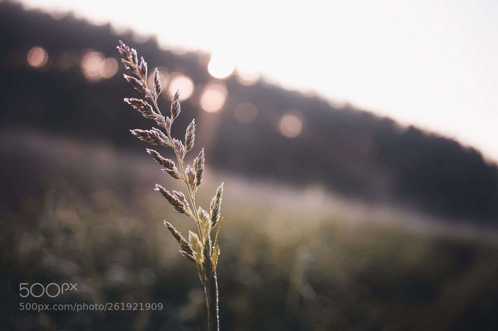 Canon EOS 6D sample photo. Morning photography
