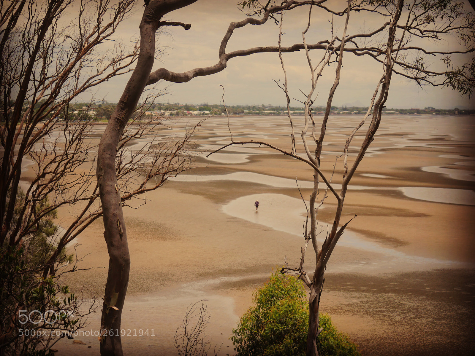 Panasonic Lumix DMC-G7 sample photo. Brown sand photography