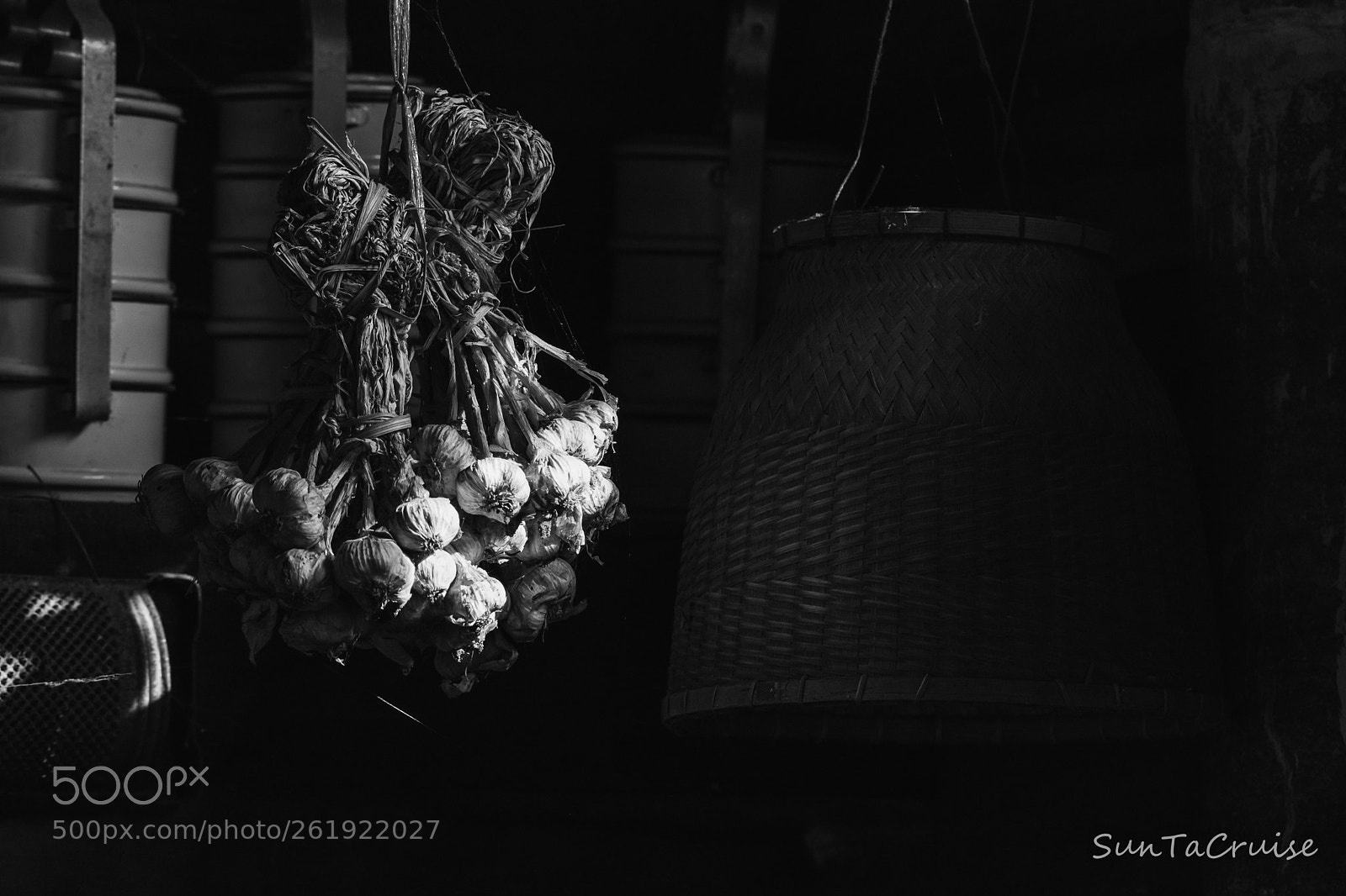 Nikon D7200 sample photo. Dry garlic in the photography